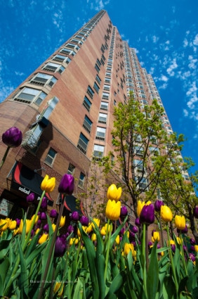 Chestnut Place apartment building in spring.